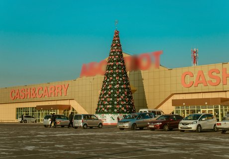 Топ-8 самых высоких ёлок Читы