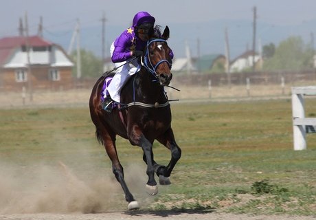 Кубок главы города по конному спорту