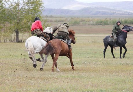 Кок-бору - игра сильных мужчин