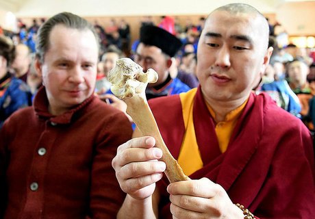 Чемпионат по разбиванию хребтовой кости