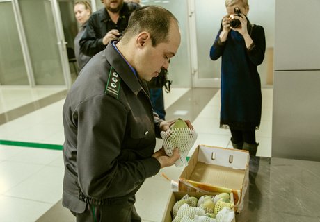 «Х-Скан» и кинологи – как проверяют туристов в аэропорту Читы