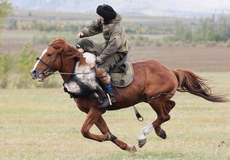 Кок-бору - игра сильных мужчин