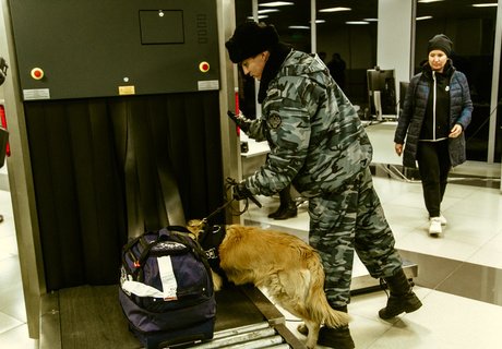 «Х-Скан» и кинологи – как проверяют туристов в аэропорту Читы