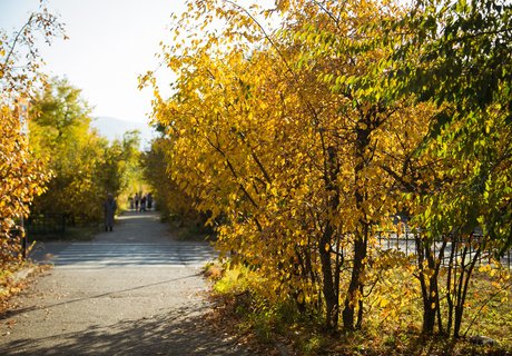 Читу «осенило»: Жёлтые листья и «бабье лето»