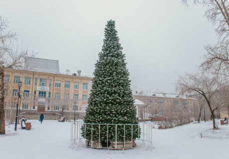 Топ-8 самых высоких ёлок Читы