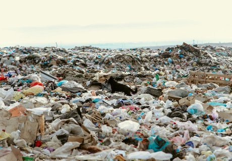 Фоторепортаж: Городская свалка Читы стала пожарищем и местом ЧС