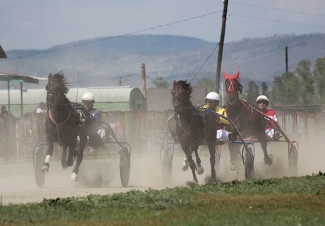 Кубок главы города по конному спорту