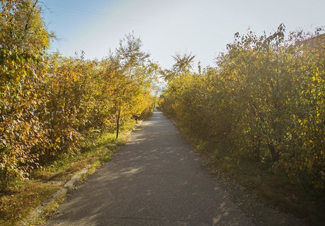Читу «осенило»: Жёлтые листья и «бабье лето»