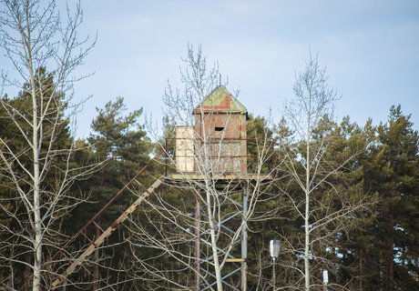 Закрытый городок Горный, о котором вдруг написали все СМИ