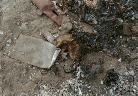 Фоторепортаж: Городская свалка Читы стала пожарищем и местом ЧС