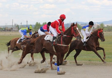 Кубок главы города по конному спорту