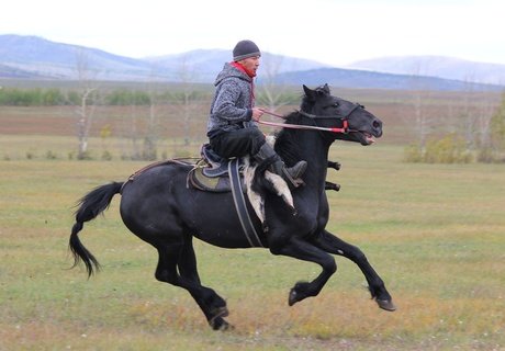 Кок-бору - игра сильных мужчин