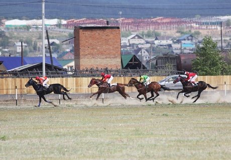 Кубок главы города по конному спорту