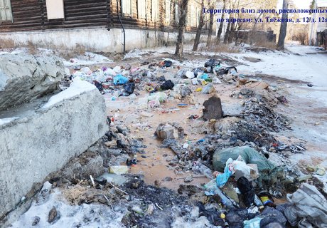 Свалки Читы, или чего не показали Александру Осипову