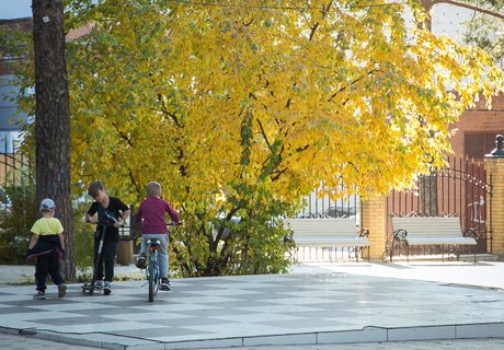 Читу «осенило»: Жёлтые листья и «бабье лето»