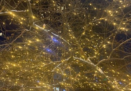 Парк МЖК в Чите встретил зиму во всей новогодней красоте