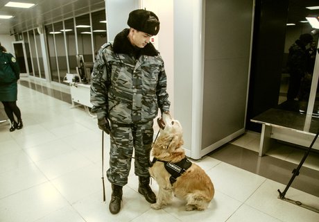 «Х-Скан» и кинологи – как проверяют туристов в аэропорту Читы
