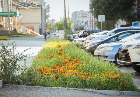 Читу «осенило»: Жёлтые листья и «бабье лето»