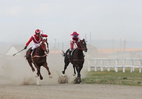 Кубок главы города по конному спорту