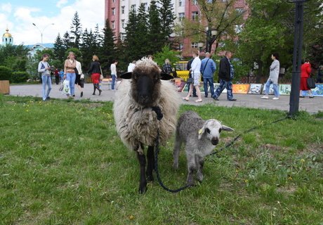 Многонациональная Чита отметила День России