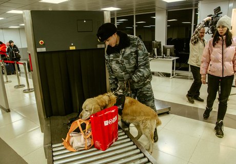 «Х-Скан» и кинологи – как проверяют туристов в аэропорту Читы