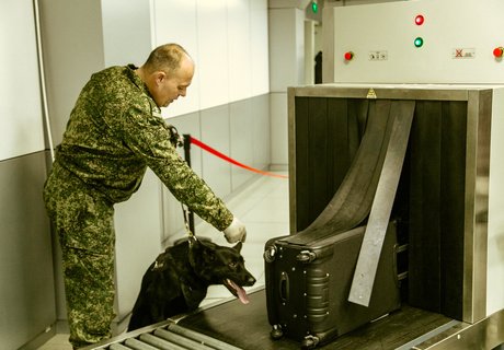 «Х-Скан» и кинологи – как проверяют туристов в аэропорту Читы