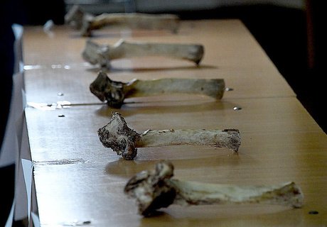 Чемпионат по разбиванию хребтовой кости