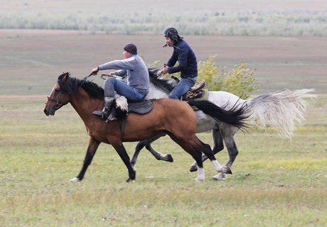 Кок-бору - игра сильных мужчин