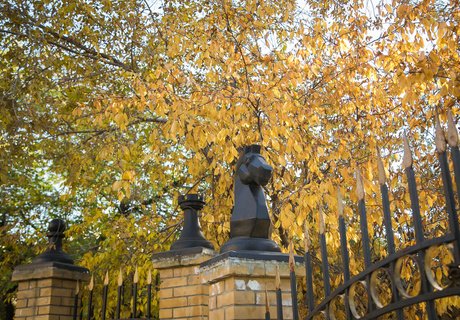 Читу «осенило»: Жёлтые листья и «бабье лето»