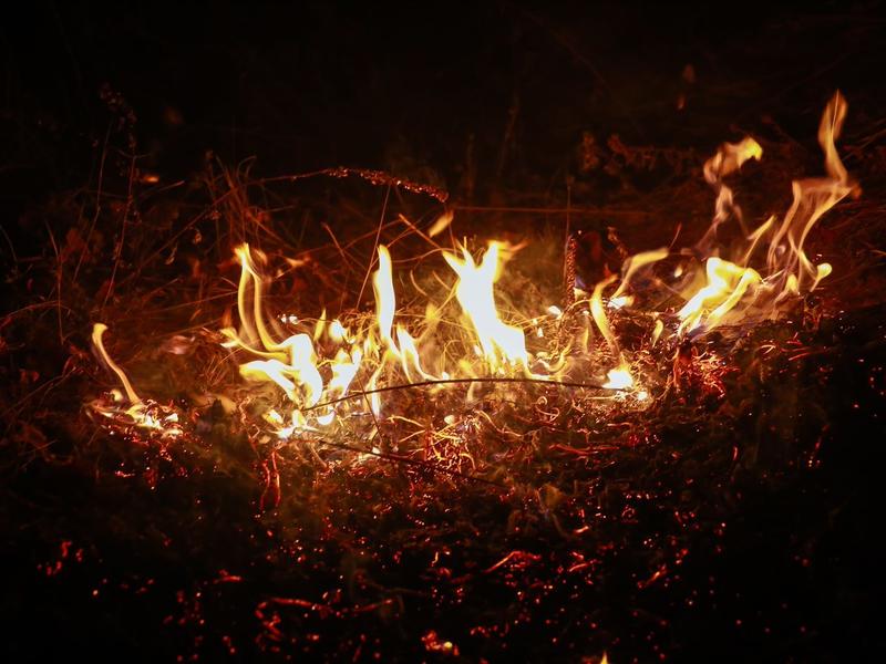 В Забайкалье за сутки зафиксировано 20 ландшафтных пожаров