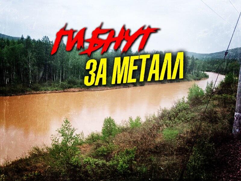 Борзометр золотодобытчиков в Амазаре уже зашкаливает