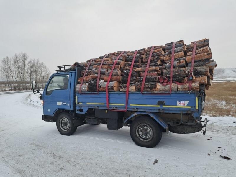 Забайкальцам может грозить колония за незаконную заготовку дров
