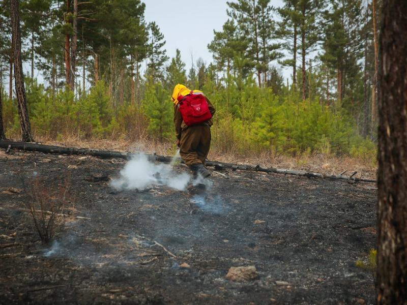 В Забайкалье ликвидировали 19 пожаров площадью более 1 тысячи гектаров