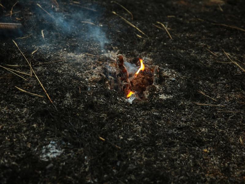 В Забайкалье за сутки зафиксировано 17 ландшафтных пожаров