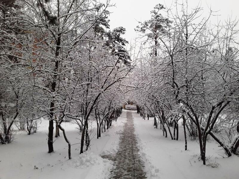 Снег и мороз ожидаются в Забайкалье