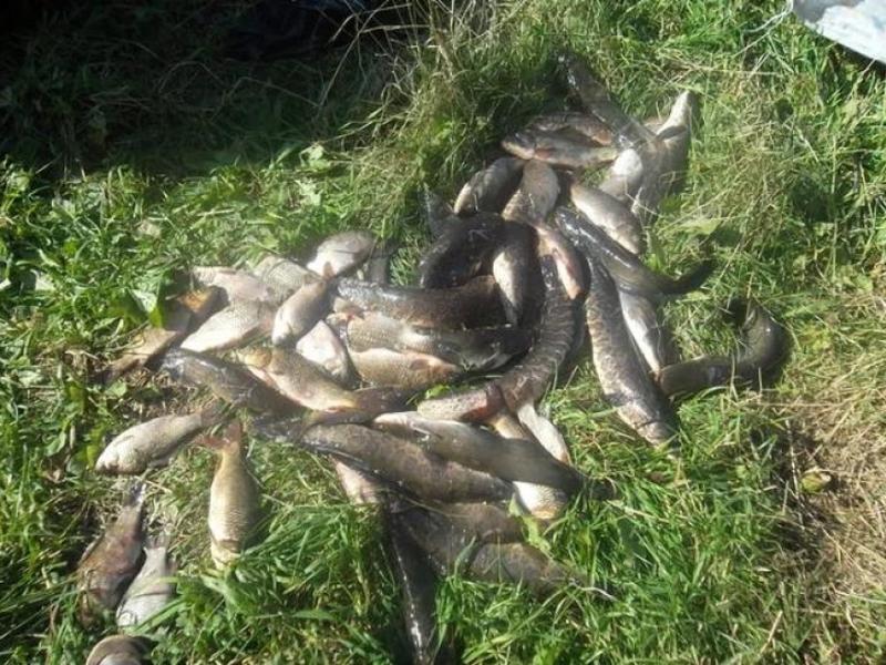 Рыболовные сети длиной в 1,5 км изъяли у нарушителей в Ивано-Арахлейском