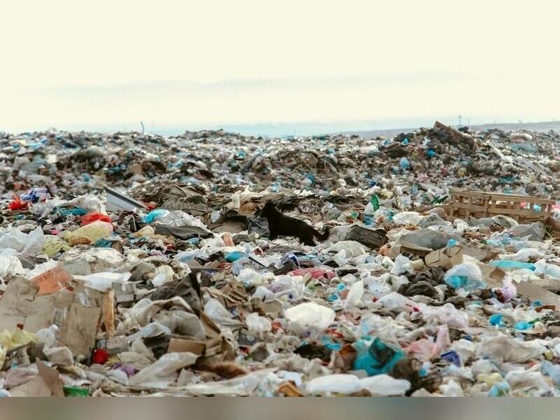 В Борзе ликвидировали свалку, на которой накопилось 150 тысяч тонн мусора
