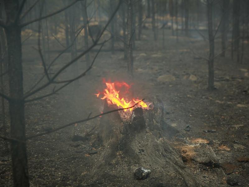 Три лесных пожара ликвидировали в Читинском районе