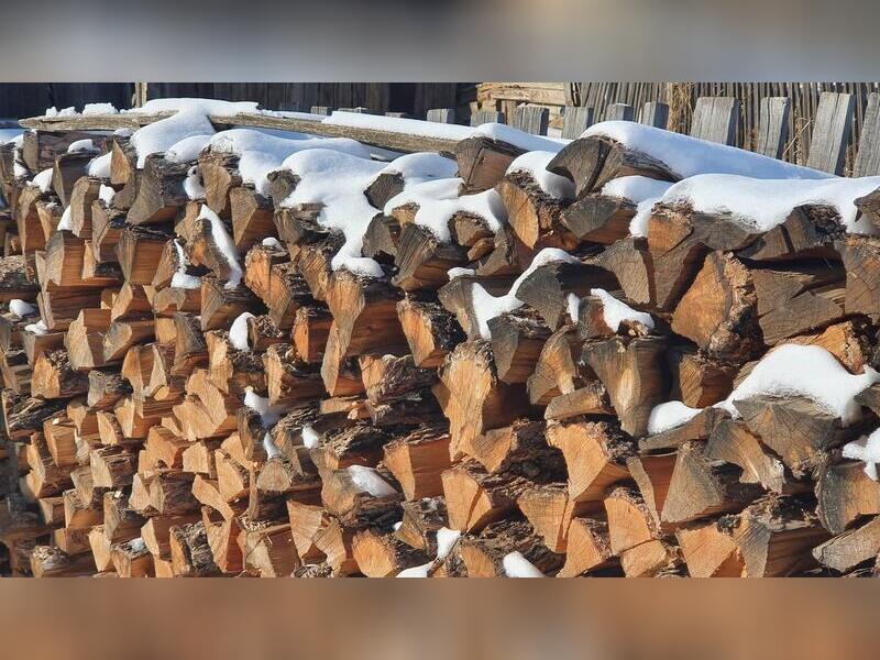 В Забайкалье самые низкие цены на дрова среди регионов - замглавы Минприроды края