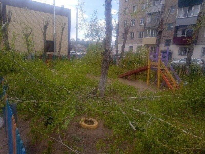 Зелёные деревья обрезали во дворе дома в Чите и завалили детскую площадку