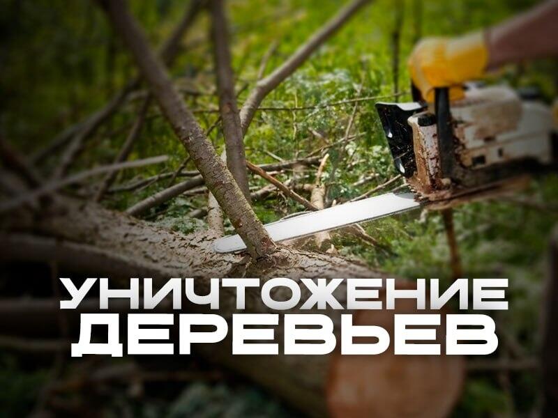 В Чите уничтожают газоны под парковки на пустом месте