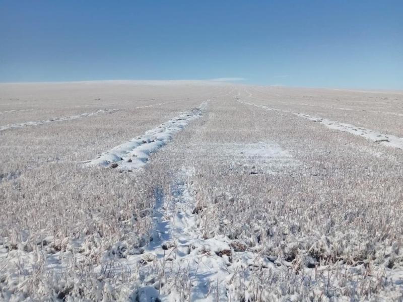 Минсельхоз РФ оценил ущерб от гибели посевов в Забайкалье