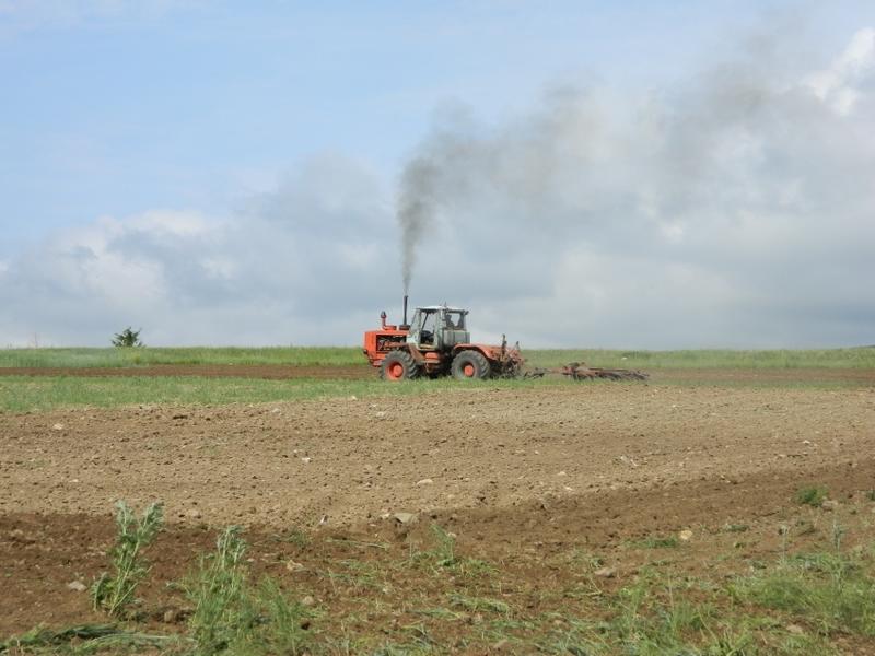 Более 19 млн руб субсидий получили пять крупнейших сельхозпредприятий Забайкалья