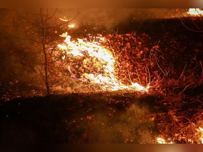 В 16 районах Забайкалья прогнозируют высокую пожарную опасность