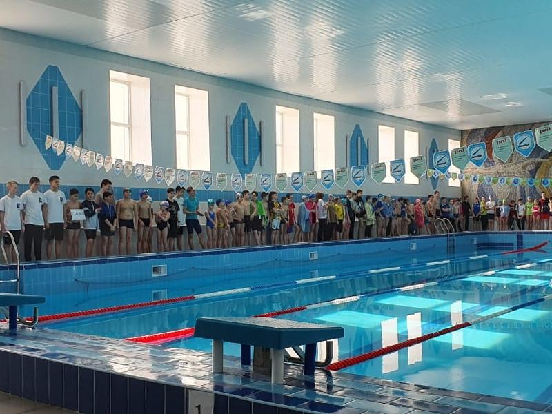 Более 100 человек поучаствовали в Забайкальском первенстве по плаванию в Чите