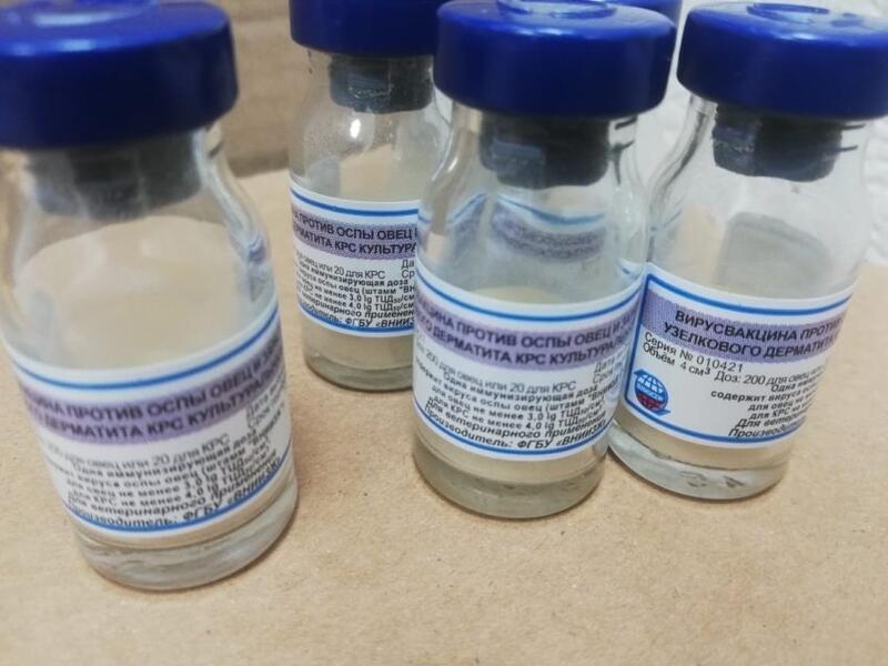 Партия вакцины от заразного заболевания животных поступила в Забайкальский край