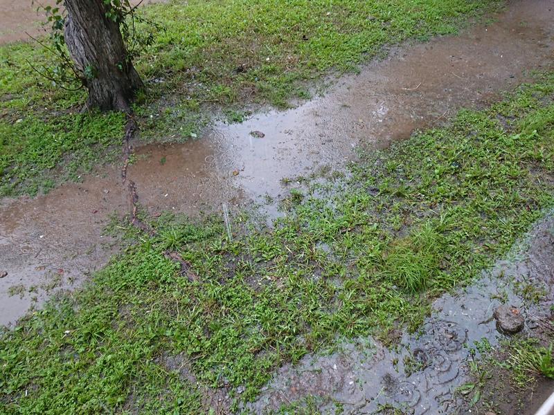 Небольшой дождь ожидается в Чите в последний день лета