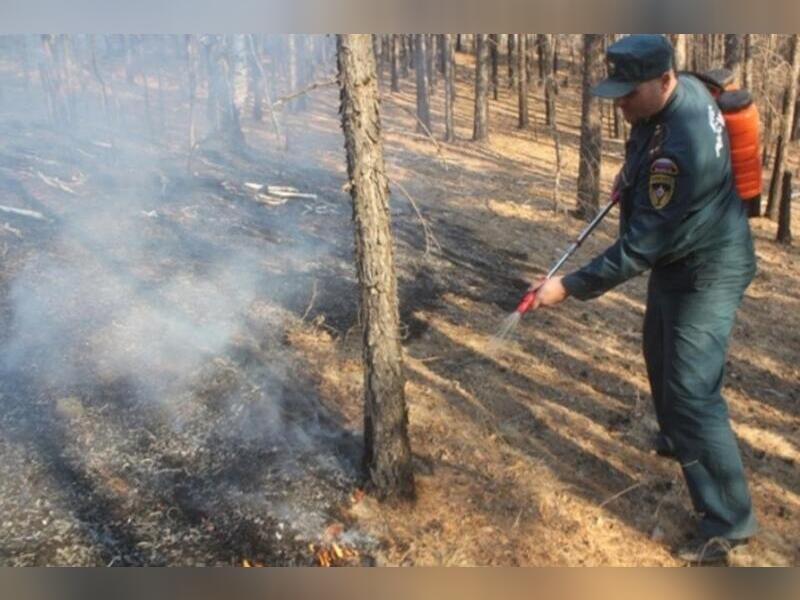 Лесные пожарные не допустили перехода огня на читинский квартал