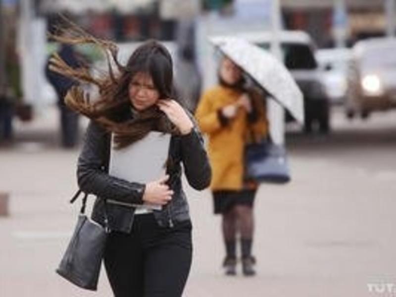 МЧС предупредило забайкальцев об усилении ветра 26 апреля