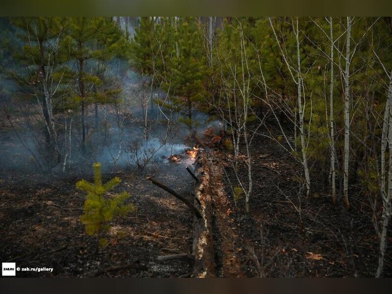 Обстановка с лесными пожарами в крае контролируемая